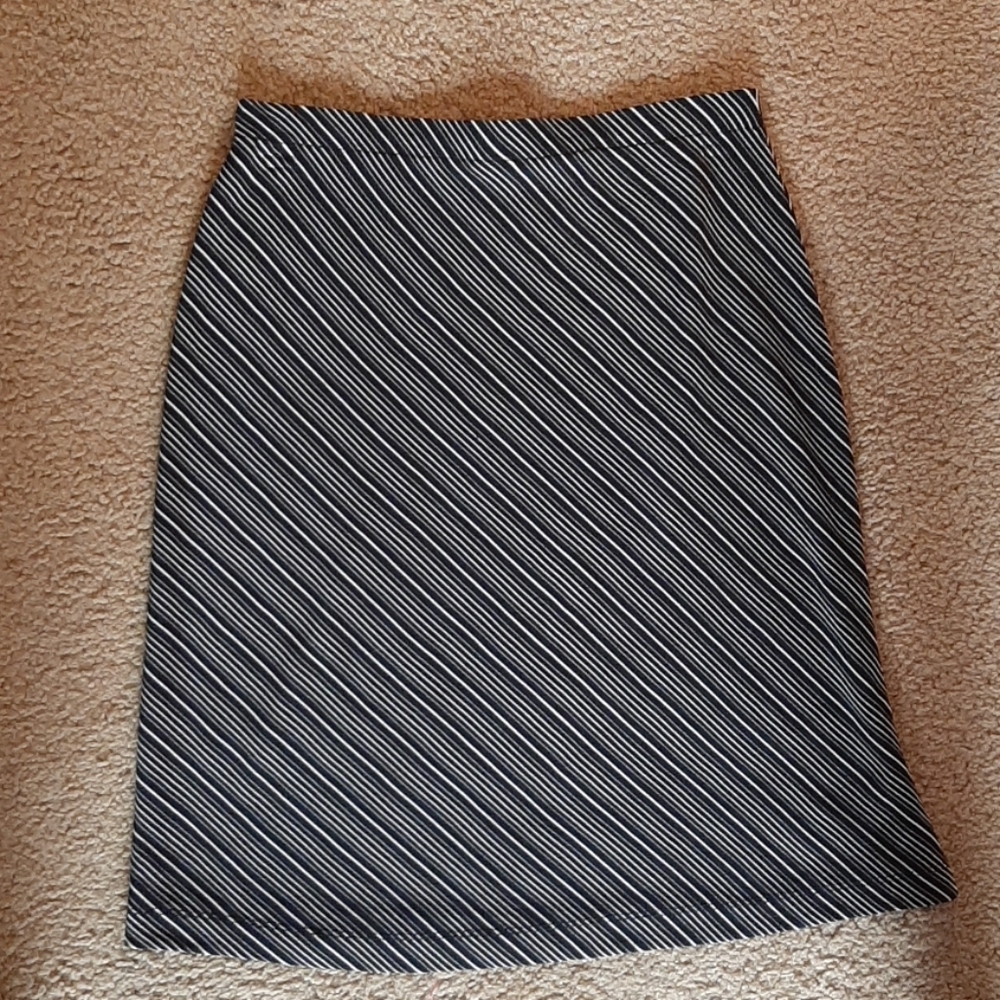 Dress skirt